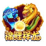 Www.yaxin333.com